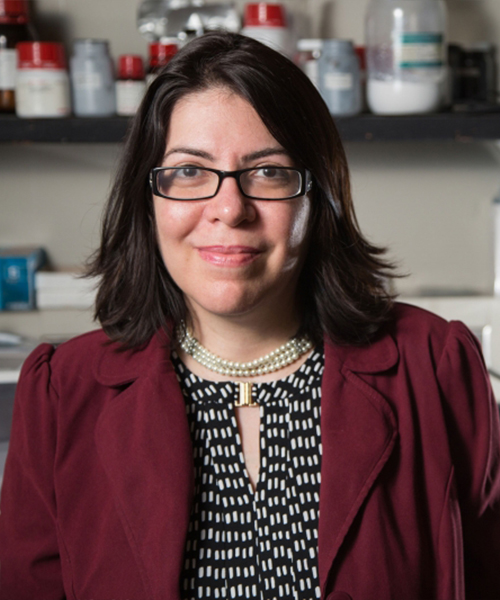 Prof. Haleh Ardebili